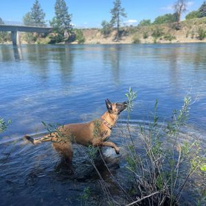 Meet your Posher, Olivia